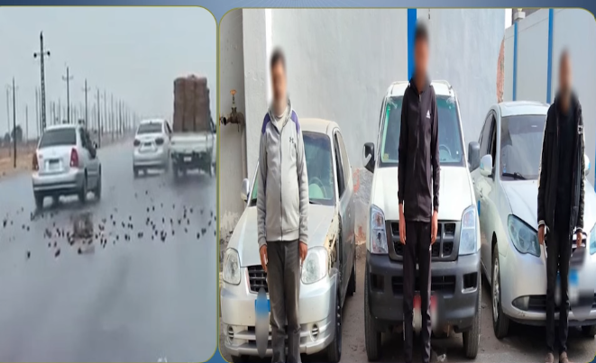 ضبط قائدي سيارتين ملاكي بعد تداول فيديو لمطاردتهما سيارة ربع نقل بالإسماعيلية